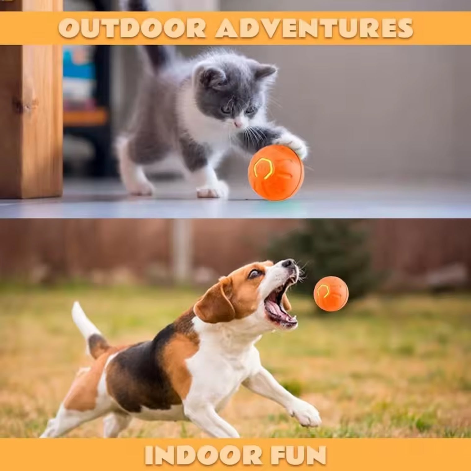 Interactive Smart Pet Toys