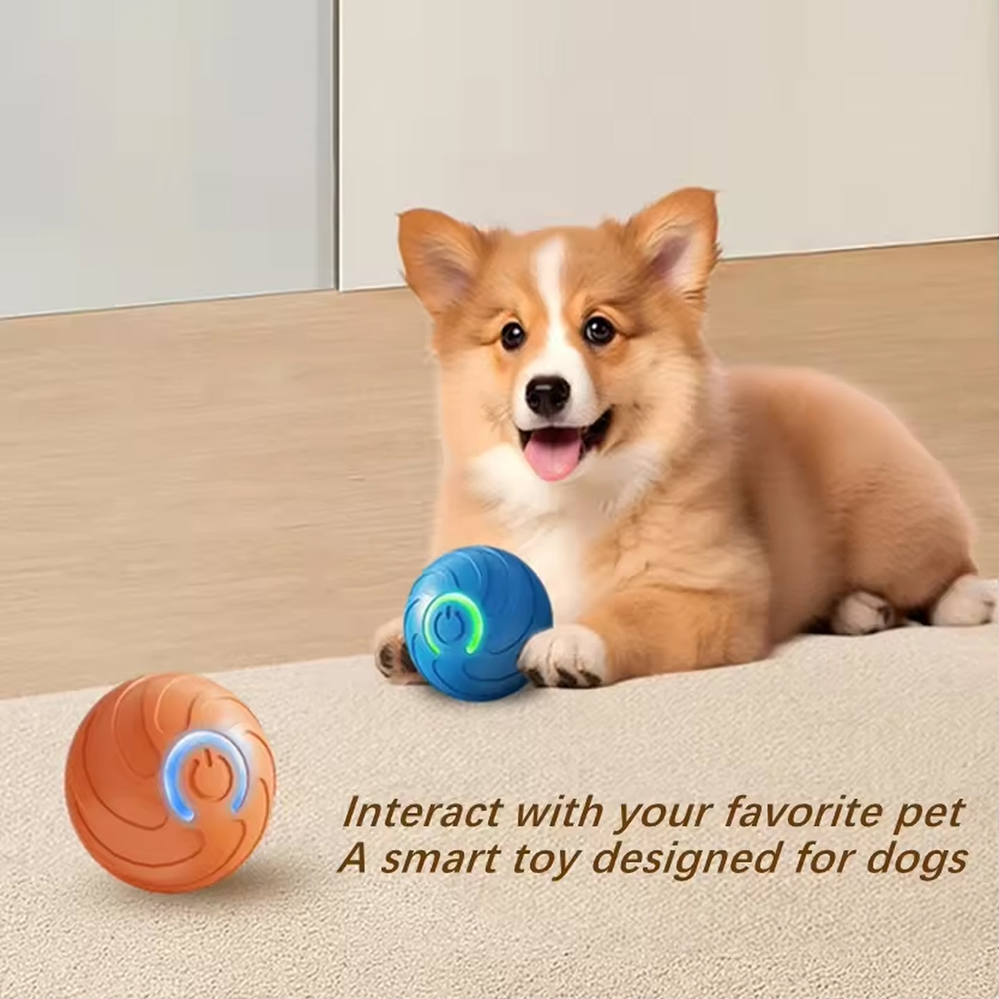 Interactive Smart Pet Toys
