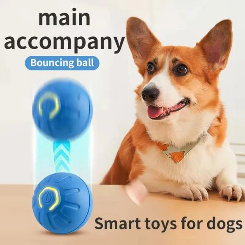 Interactive Smart Pet Toys