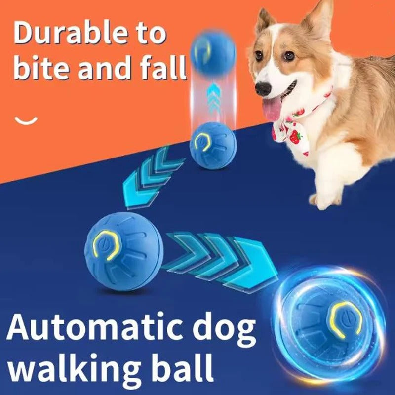 Interactive Smart Pet Toys