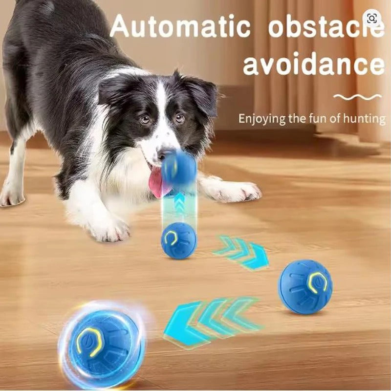 Interactive Smart Pet Toys